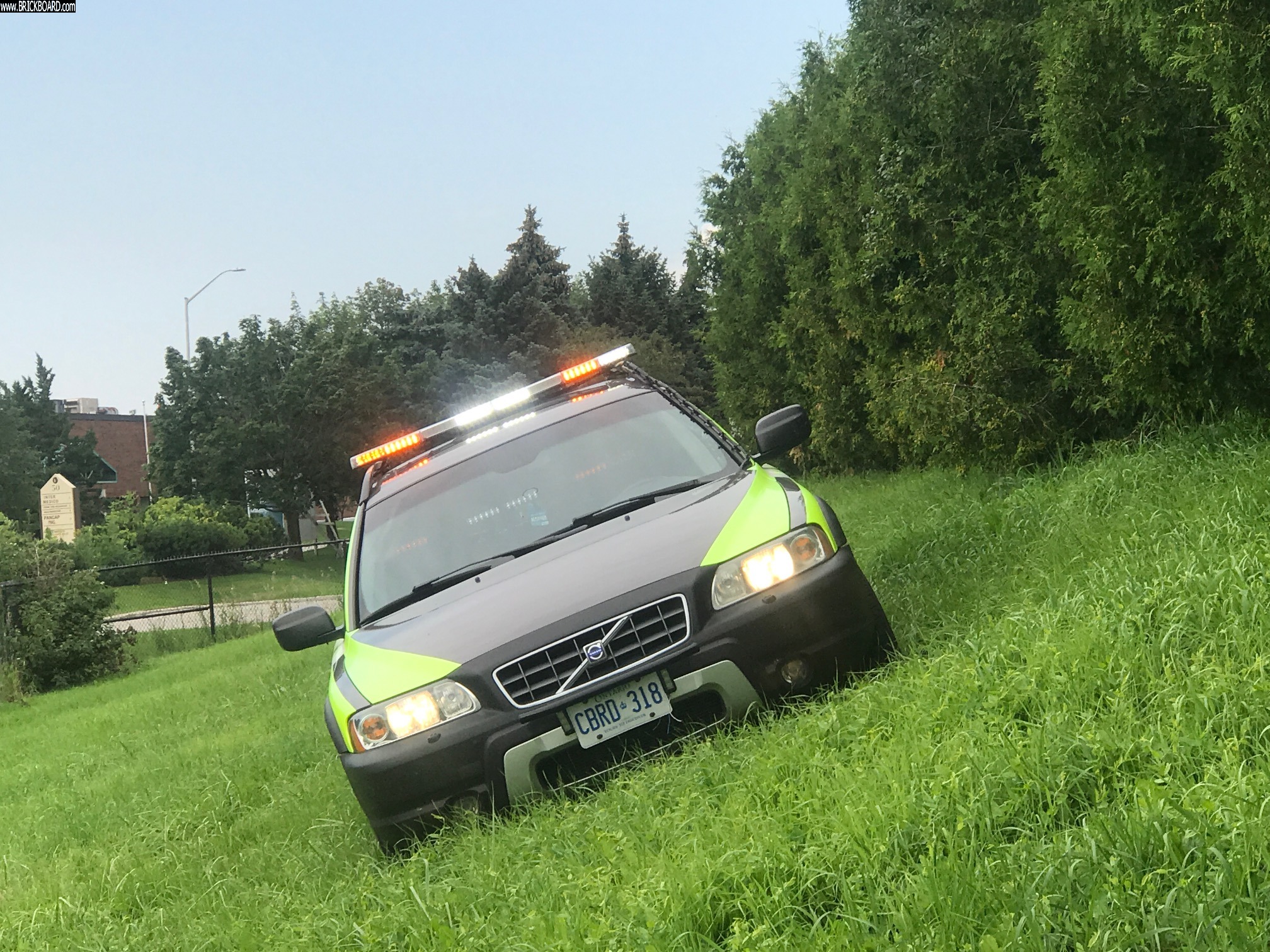Volvo -- wildlife 1